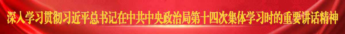 深入学习贯彻习近平总书记在中共中央政治局第十四次集体学习时的重要讲话精神
