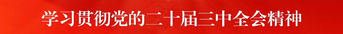 学习贯彻党的二十届三中全会精神